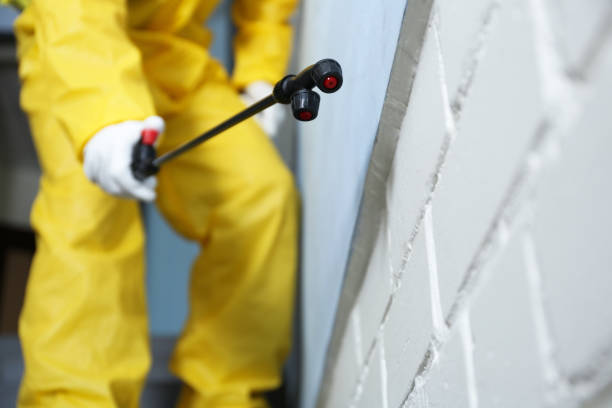 Best Pest Prevention Services  in Columbia Falls, MT